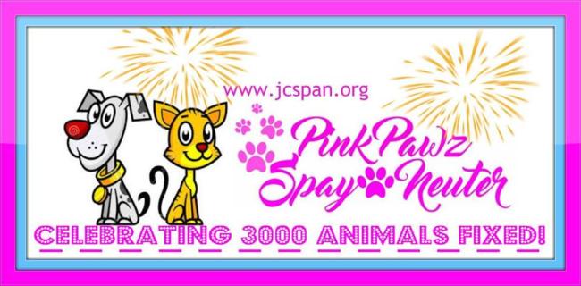 Pink Pawz Spay & Neuter, (Escatawpa, Mississippi), logo of dog, cat, fireworks, pawprints, pink, celebrating 3000 animals fixed 