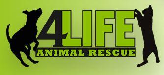 4Life Animal Rescue logo with a dog and cat