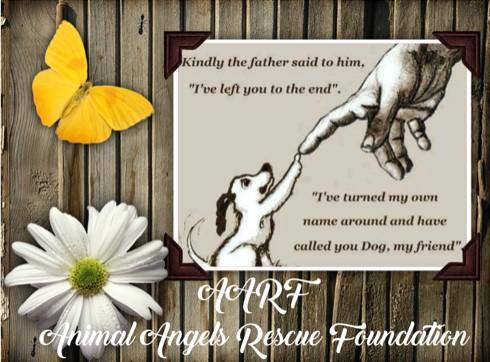 AARF - Animal Angels Rescue Foundation (Henderson, Nevada) logo with poem dog flower hand butterfly