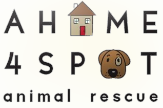 A Home 4 Spot Animal Rescue