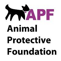 Animal Protective Foundation (Scotia, New York) logo with cat