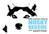 ARA Canine Rescue Inc (Alleys Rescued Angels) Hesperia, California: Logo with Siberian Husky face with blue eyes