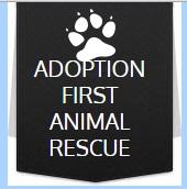Adoption first logo (2)