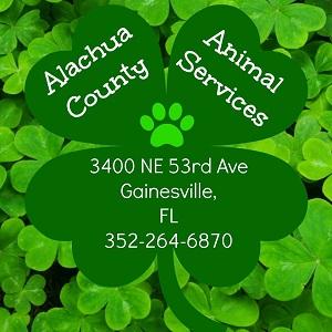 Alachua County Animal Services with shamrocks and paw print