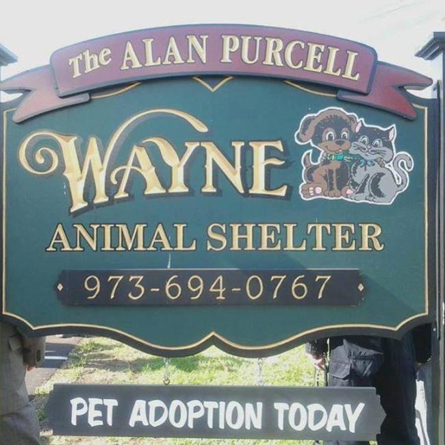 Alan Purcell Animal Shelter, (Wayne, New Jersey), photo of green and purple sign with gold letteringth 
