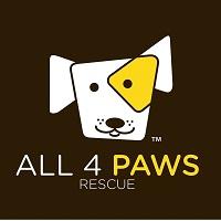 All 4 Paws Rescue (Malvern, Pennsylvania) logo