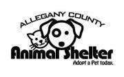 Allegany County Animal Shelter Management Foundation (Cumberland, Maryland) logo