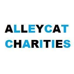 Alleycat Charities, Inc, (East Liverpool, Ohio), text with alternating blue and black capital letter