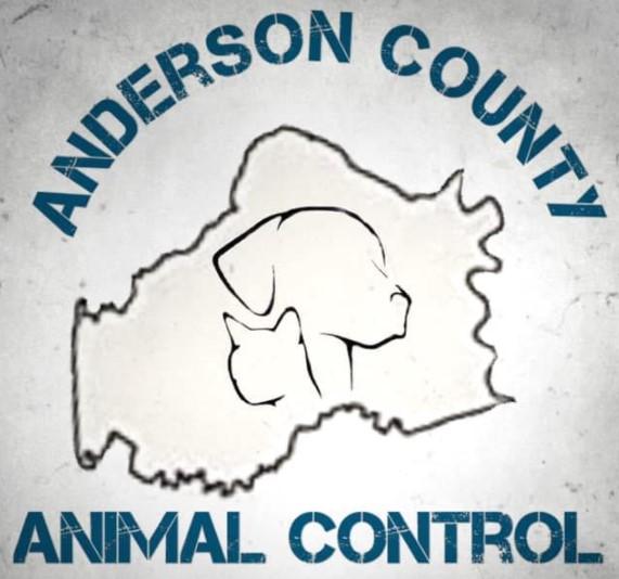 Anderson County Animal Control, (Lawrenceburg, Kentucky), logo sketch of dog and cat head inside of map outline of Kentucky with teal text