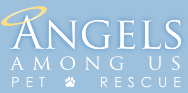 Angels Among Us Pet Rescue, (Alpharetta, Georgia), white text with yellow halo on light blue background