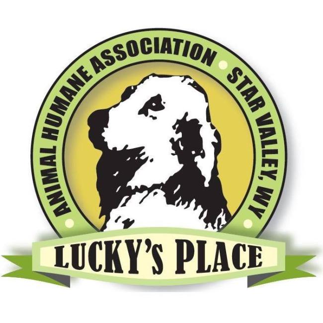 Animal Humane Association of Star Valley, (Thayne, Wyoming), logo drawing of white dog inside yellow and green circle with black text