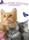 Another Chance Cat Adoption (Kent, Washington): Purple logo with orange and grey cats under logo 
