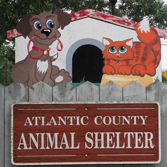 Atlantic County Animal Shelter, Pleasantville, New Jersey