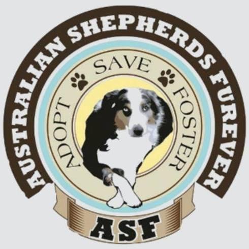 Australian Shepherds Furever (Rancho Cucamonga, California) logo color photo cutout of dog laying with paws crossed inside yellow circle tan enclosed circle around with brown lettering aqua outer circle brown banner around with white lettering
