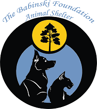The Babinski Foundation (Pequot Lakes, Minnesota) | logo of dog, cat, heads, dedicated to providing shelter & love