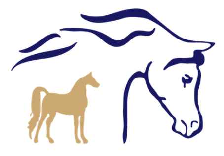 Beauty's Haven Farm and Equine Rescue, Inc., (Morriston, Florida), logo blue outline of horse around solid gold colored horse