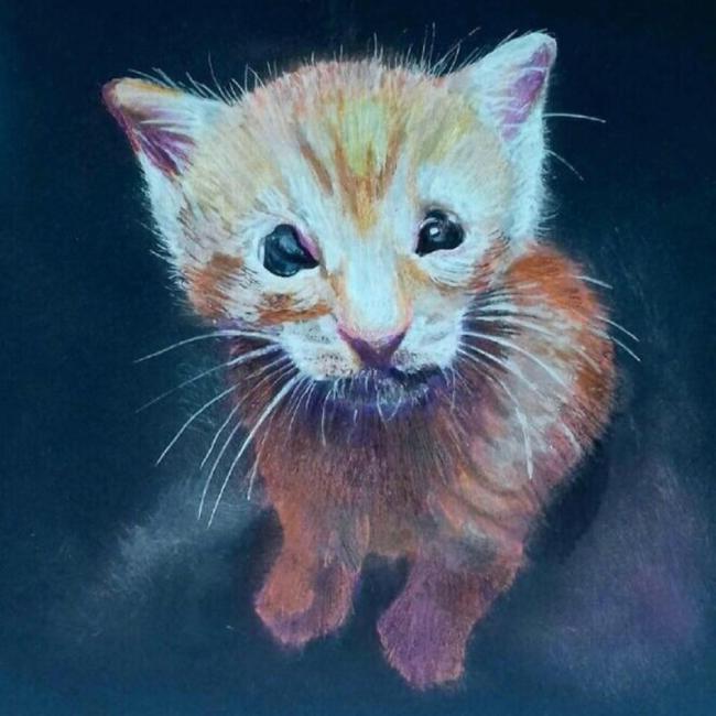 Benny's Friends, (West Hills, California), painting of red kitten