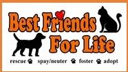 Best Friends for Life logo