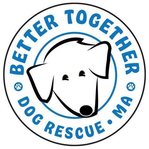 Better Together Dog Rescue, (Belchertown, Massachusetts), logo black outline of dog face in circle with blue text