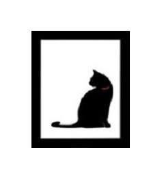 Beyond Nine Cat Rescue, (Pompano Beach, Florida), logo black cat on white background with black frame