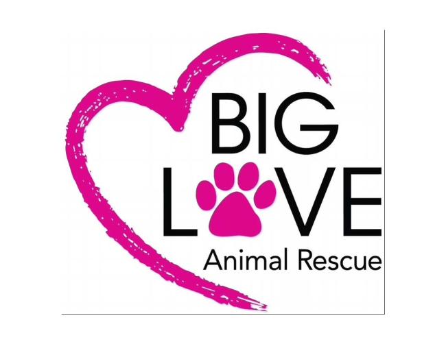Big Love Animal Rescue (Valley Village, California) logo large black letters the O of love is a hot pink paw print hot pink paint line to form an open heart around the letters