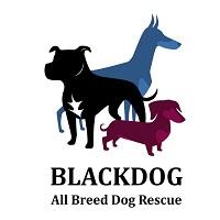 Blackdog All Breed Dog Rescue (Waukegan, Illinois) logo of dogs