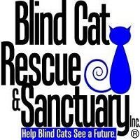 blind cat rescue florida