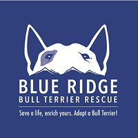 Blue Ridge Bull Terrier Club (Ashland, Virginia) dog logo