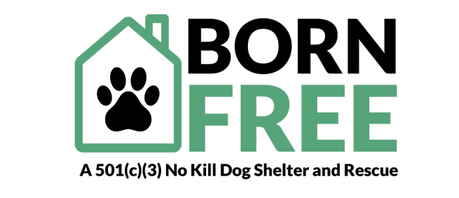 Born Free Pet Shelter, Inc., (Miami, Florida), logo black pawprint inside outline of green house with black and green text next to it