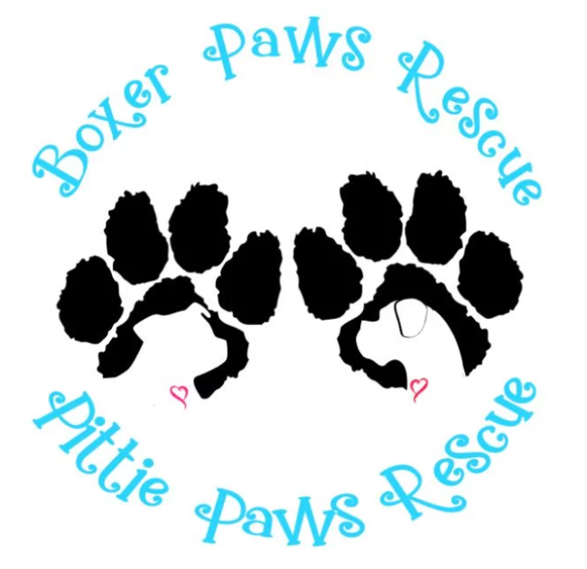 Boxer Paws Rescue, (Defiance, Missouri) logo 2 paws with white dog face silhouettes and blue text on white background