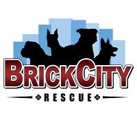 Brick City Rescue NJ (Lincoln Park, New Jersey) logo with four dogs in shadow on a blue background