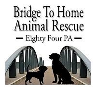 Bridge to Home Animal Rescue (McMurray, Pennsylvania) logo two dogs on a bridge with black text