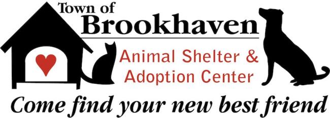 Brookhaven Animal Shelter, (Brookhaven, New York), logo black house with red heart, black cat and do framing black and red text