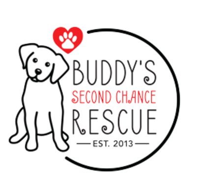 Buddy's Second Chance Rescue, (Buffalo, New York) logo dog in black with black and red text