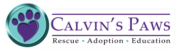 Calvin's Paws logo of paw print and words, "Rescue, adoption, education"
