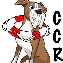 Canine Castaways Rescue Inc (Fountaintown, Indiana) logo with dog with lifesaving ring around neck