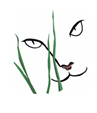 Caring Fields Felines (Palm City, Florida) logo of cat face silhouette and grass with CFF letters