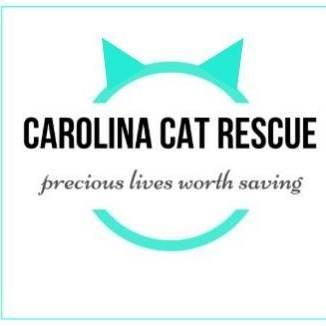Carolina Cat Rescue (Raleigh, North Carolina) logo is teal circle with cat ears at the top around organization name