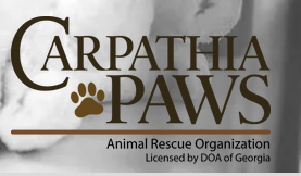 Carpathia Paws, (Midway, Georgia) logo org name in black text on white and grey background with brown paw