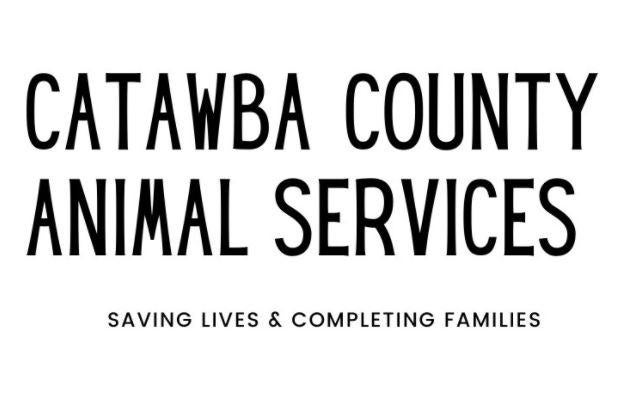 Catawba County Animal Services, (Newton, North Carolina) logo text in black on white background