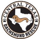 Central Texas Dachshund Rescue (Austin, Texas) logo is a circle with the state of Texas and a dachshund inside