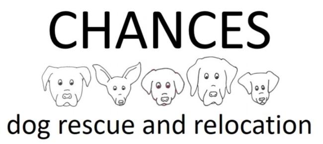 Chances Dog Rescue and Relocation, (Spring, Texas), logo drawings of five differently shaped dog heads with black text