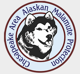 Chesapeake Area Alaskan Malamute Protection, (Gettysburg, Pennsylvania) logo dog face in black and white in circle with blue 