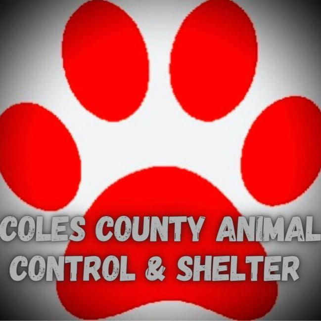 Coles County Animal Shelter (Charleston, Illinois) logo spotlight background bright white in the middle towards the edges fades to grey then black lare bright red paw print grey weathered painted letters across paw pad at bottom