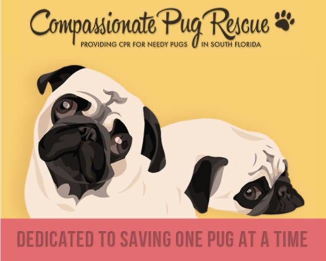 Compassionate Pug Rescue, (Miami, Florida), logo two pugs on yellow background with black text