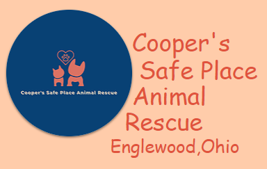Cooper's Safe Place Animal Rescue, (Englewood, Ohio) logo dogs in peach with peach heart in blue circle on peach background 