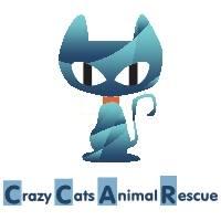 Crazy Cats Animal Rescue (Cincinnati, Ohio) logo