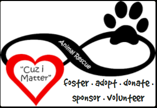 Cuz I Matter Animal Rescue (Pflugerille, Texas) logo of heart with paw and text