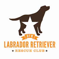 Dallas Fort Worth Labrador Retriever Rescue Club Inc., (Plano, Texas), logo Brown Lab dog with white star on body above orange text