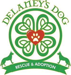 Delaney’s Dog (Van Nuys, California) logo has Irish letters with a four-leaf clover of hearts and a center heart with a pawprint